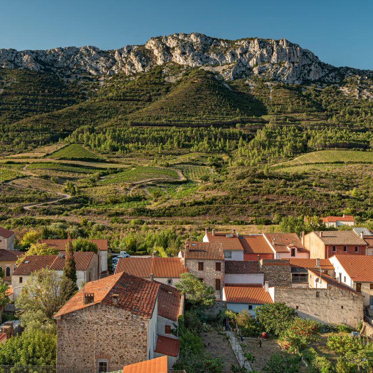 Les Fenouillèdes
